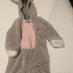 Pottery Barns bunny costume
